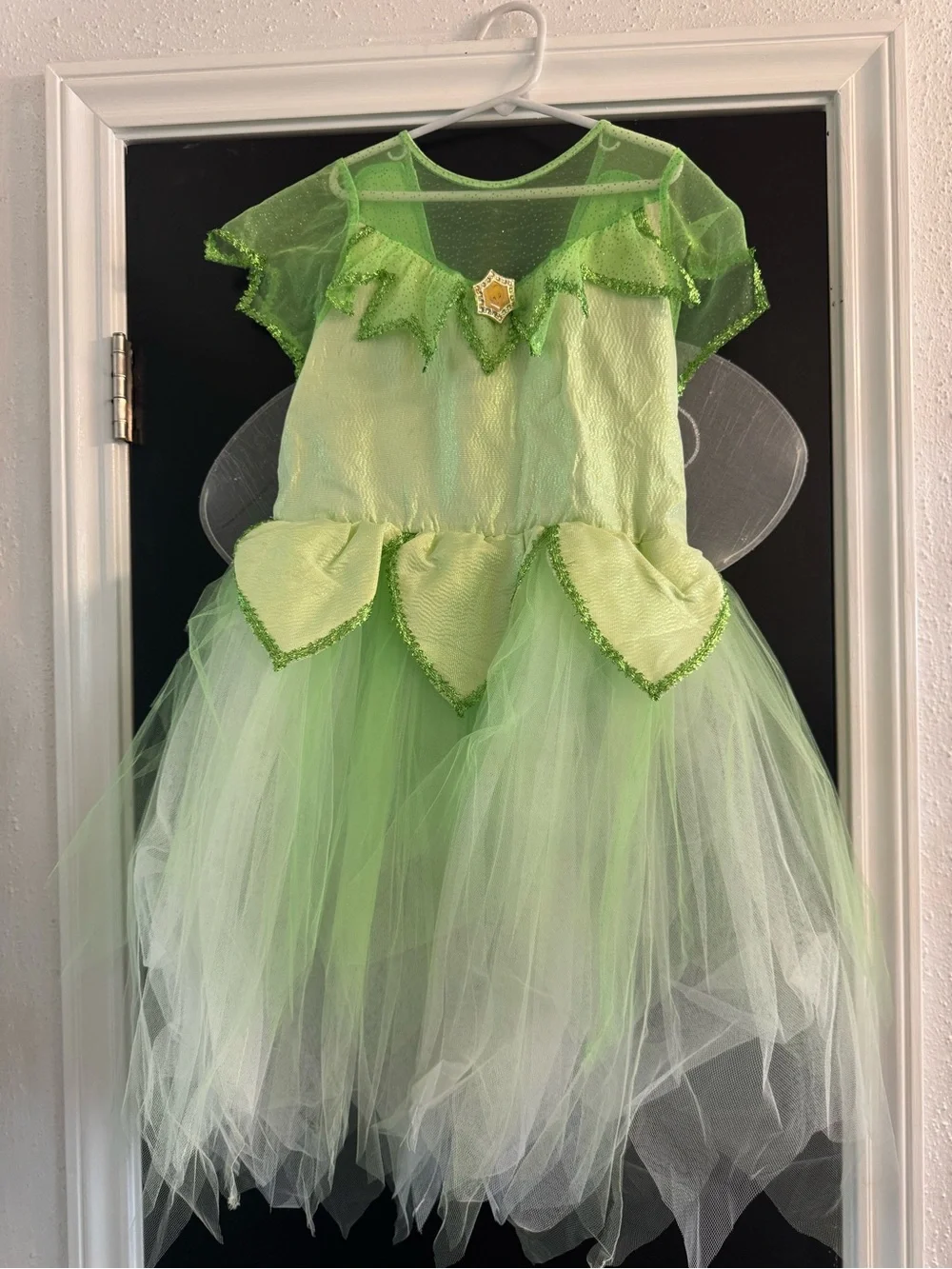Disney costume